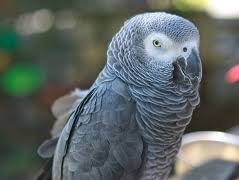 ������� ��������� ��������� �������� � ���� �� ������