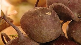 �� ������������� ������� � ��������� �������������� 140 ���� ������� � �����