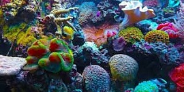 � ������ ���������� ���������� �� �������� ��� �������������� ������ ������ ������� 12 ����� ����������� ����� ����� �������