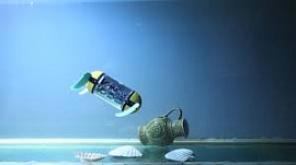 ������ ����������� �����-��������, ������������ ��������� ���