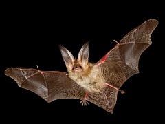 ������ ������ ��������� �������� ������� �����